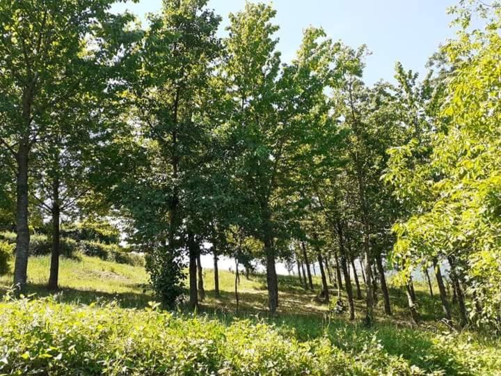 Ai Boschi Ozzano dell'Emilia Exterior foto