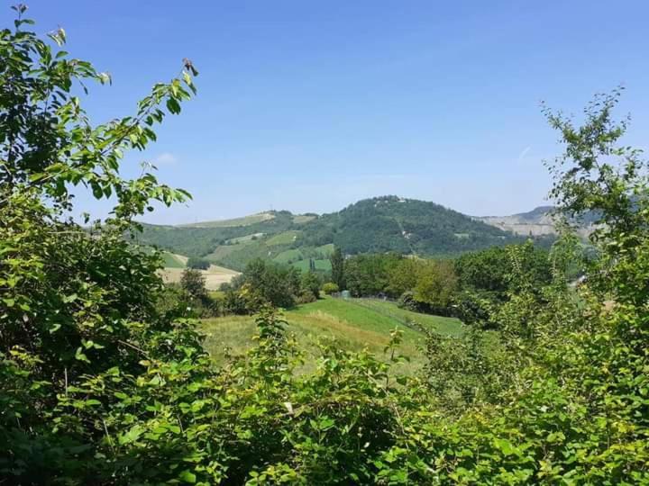 Ai Boschi Ozzano dell'Emilia Exterior foto