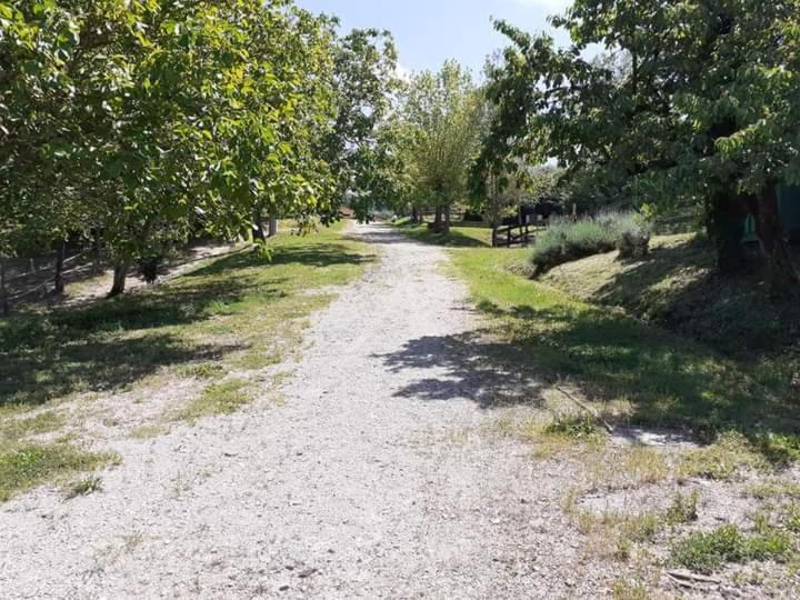 Ai Boschi Ozzano dell'Emilia Exterior foto